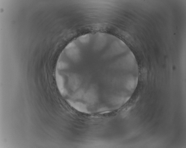 X0000067390913200604281838