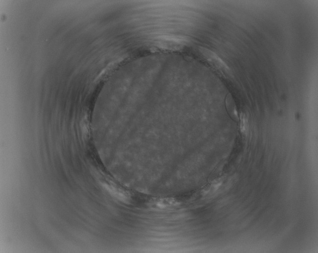 X0000067390915200604281838