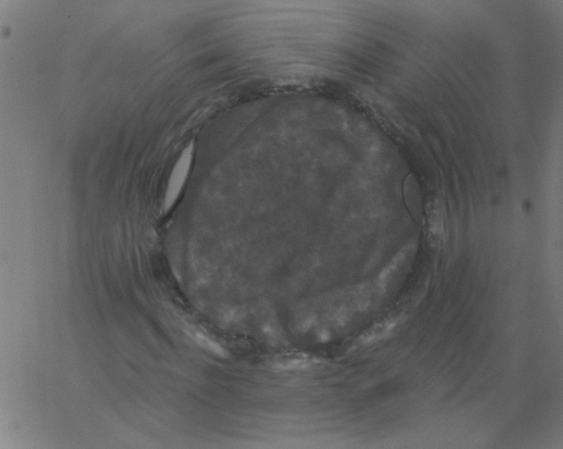 X0000067390916200604281838