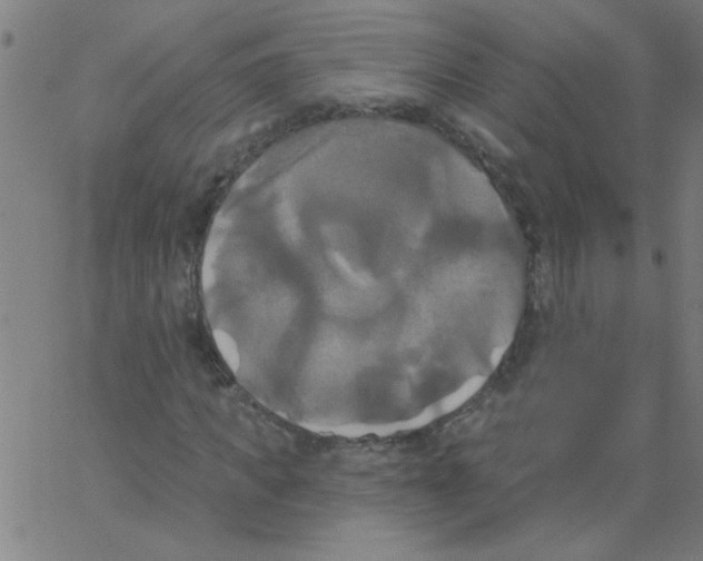 X0000067390917200604281838