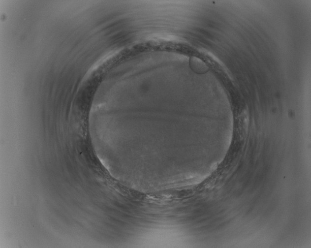 X0000067390919200604281838