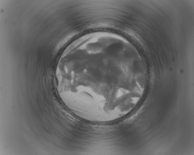 X0000067390921200604281838