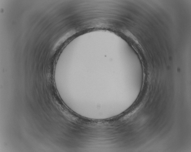 X0000067390922200604281838