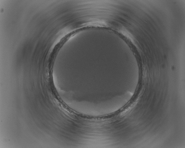 X0000067390923200604281838