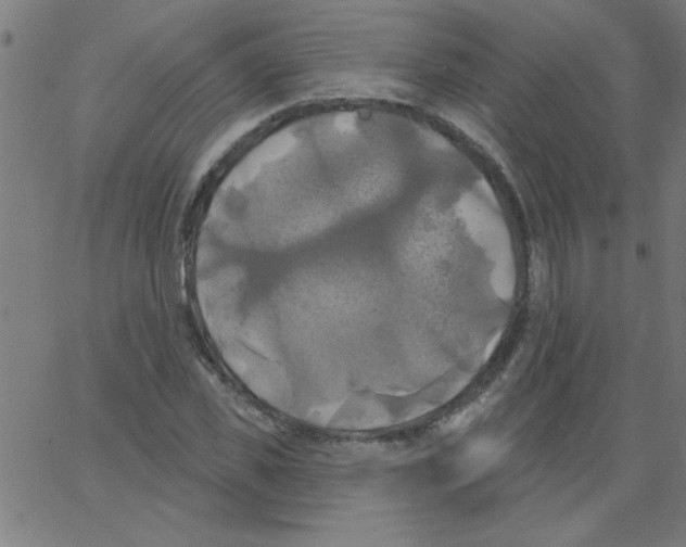 X0000067390925200604281838