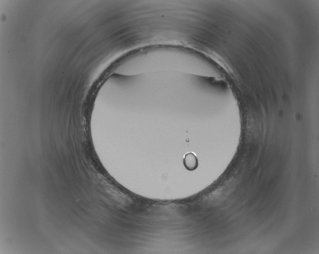 X0000067390926200604281838