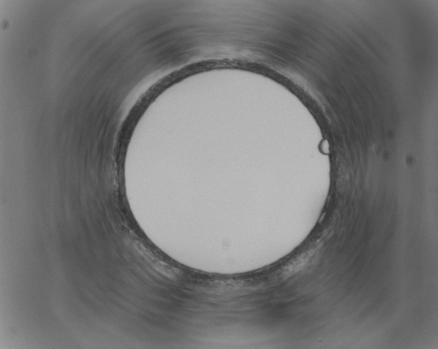 X0000067390927200604281838