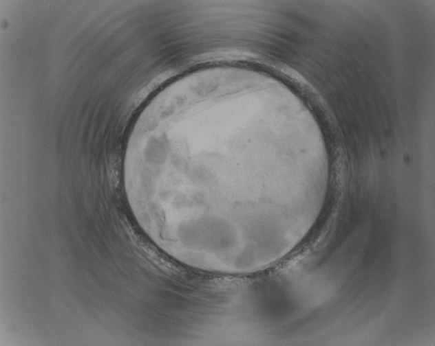 X0000067390929200604281838