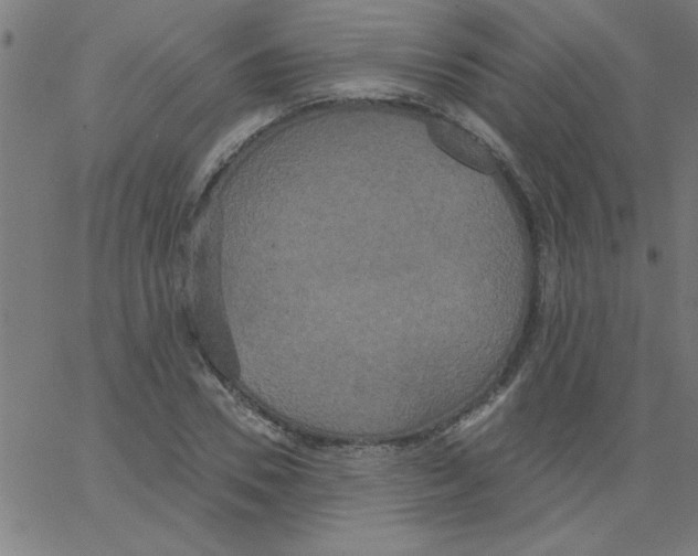 X0000067390930200604281838