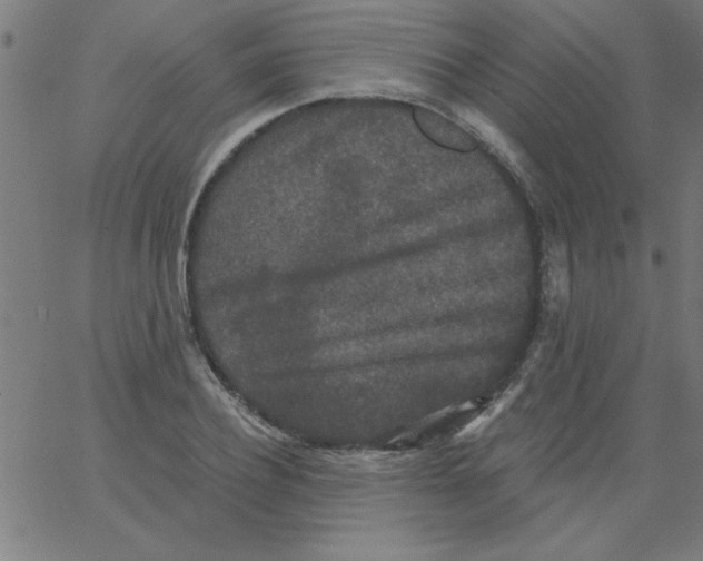 X0000067390932200604281838