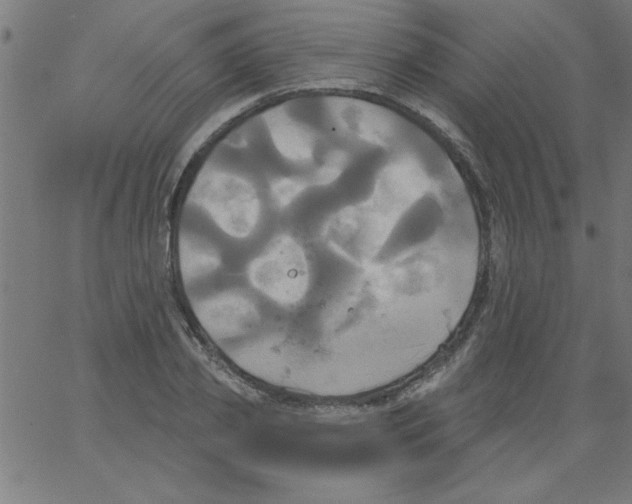 X0000067390933200604281838