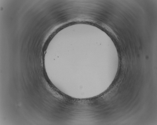 X0000067390934200604281838