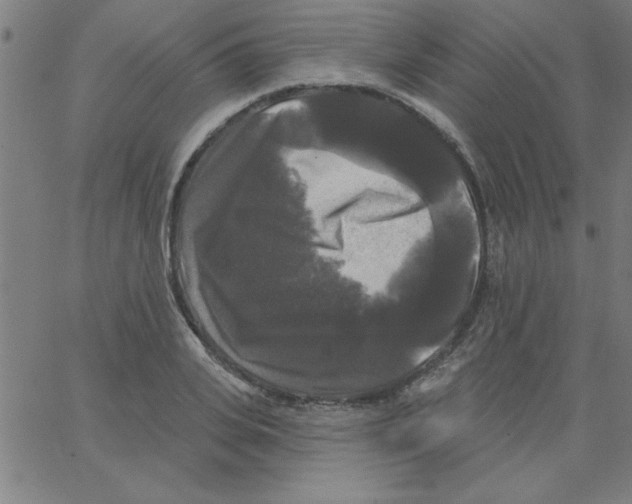 X0000067390935200604281838