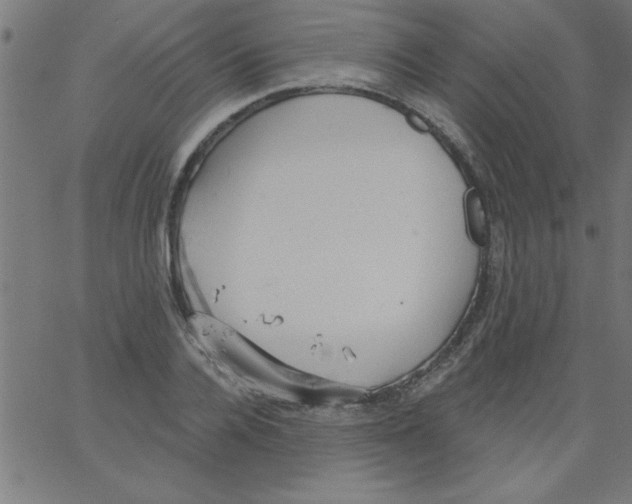 X0000067390936200604281838