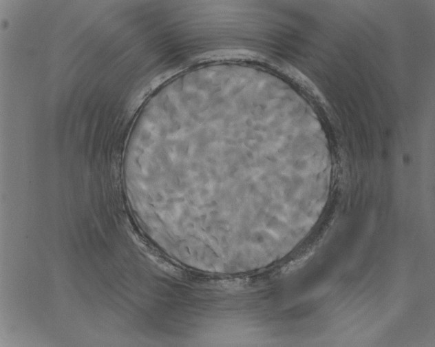 X0000067390937200604281838