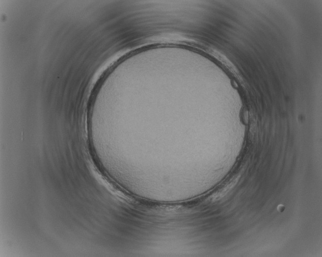 X0000067390939200604281839