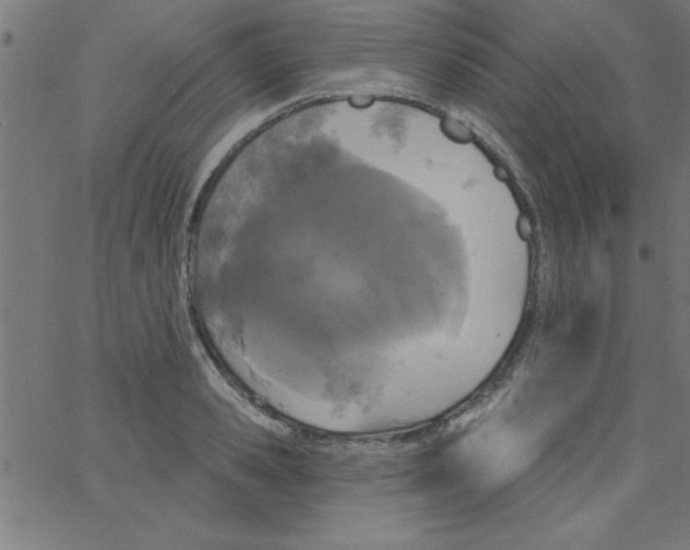 X0000067390941200604281839