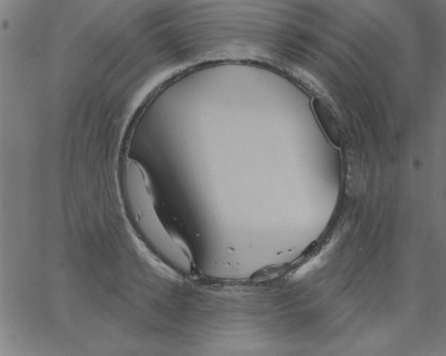 X0000067390942200604281839