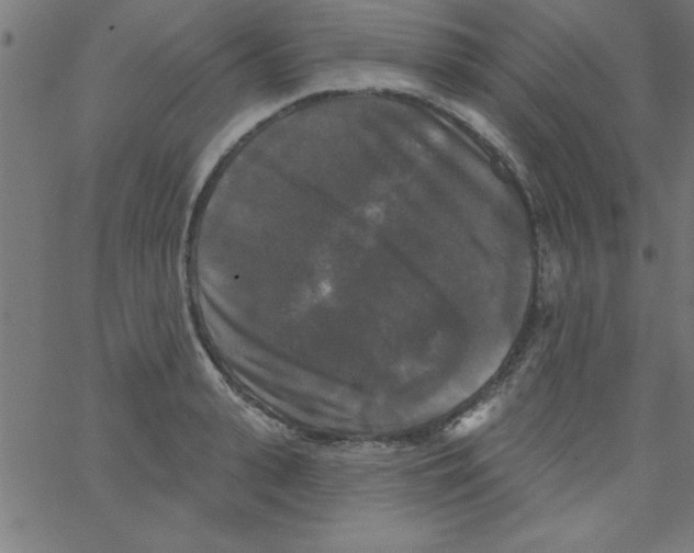 X0000067390943200604281839