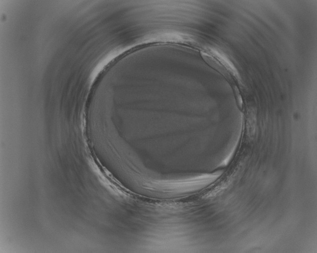 X0000067390944200604281839