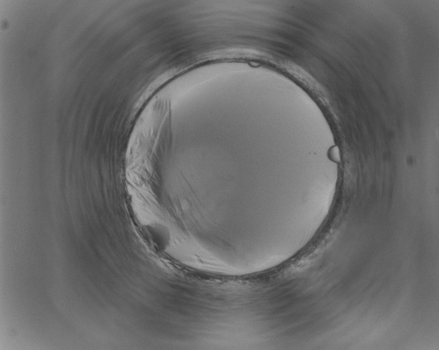 X0000067390945200604281839