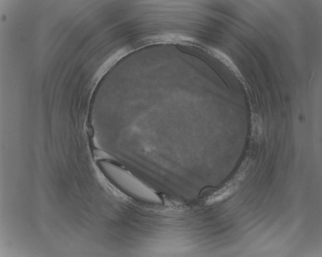 X0000067390946200604281839