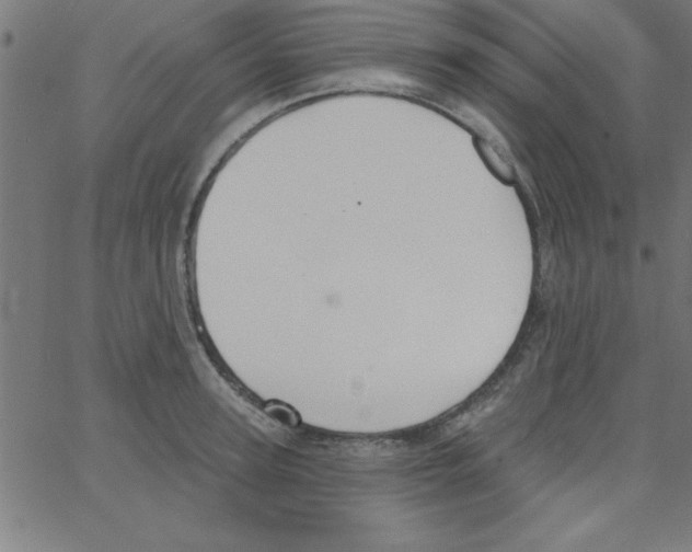 X0000067390947200604281839