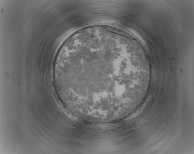 X0000067390948200604281839