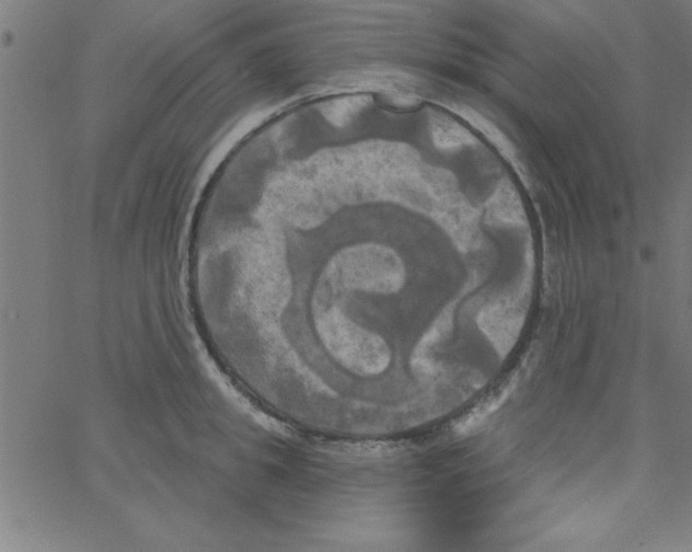 X0000067390949200604281839