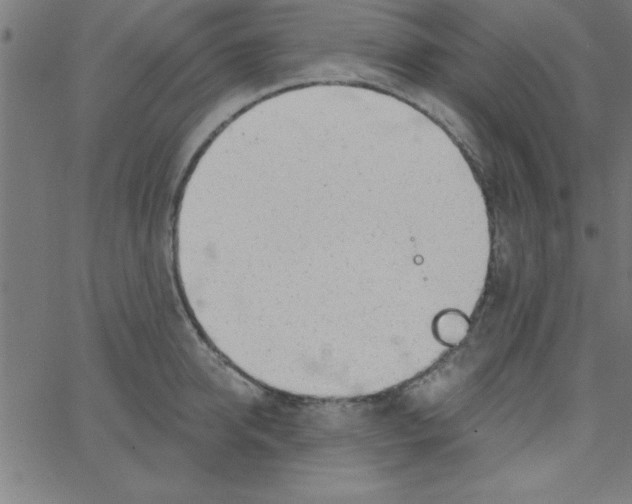 X0000067390950200604281839