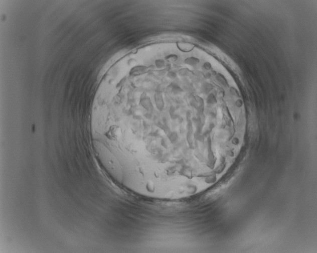 X0000067390953200604281839