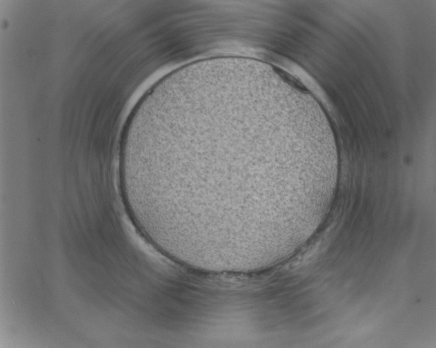 X0000067390955200604281839