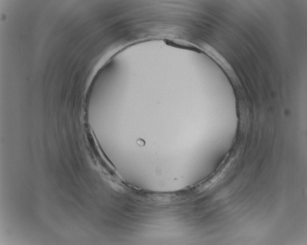 X0000067390956200604281839