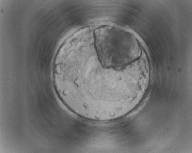 X0000067390957200604281839