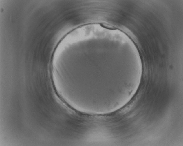 X0000067390958200604281839