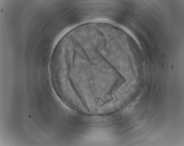 X0000067390959200604281839