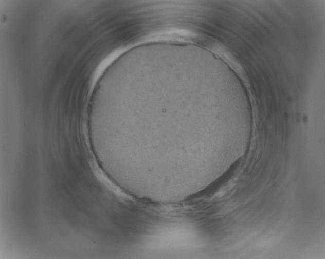 X0000067390960200604281839