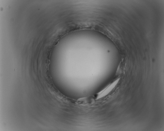 X0000067390961200604281838