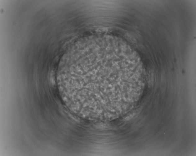 X0000067390962200604281838