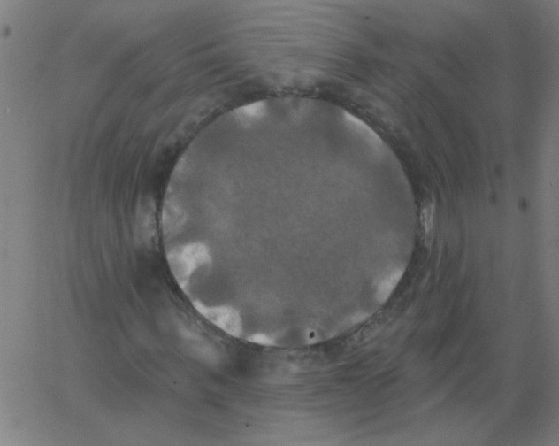 X0000067390963200604281838