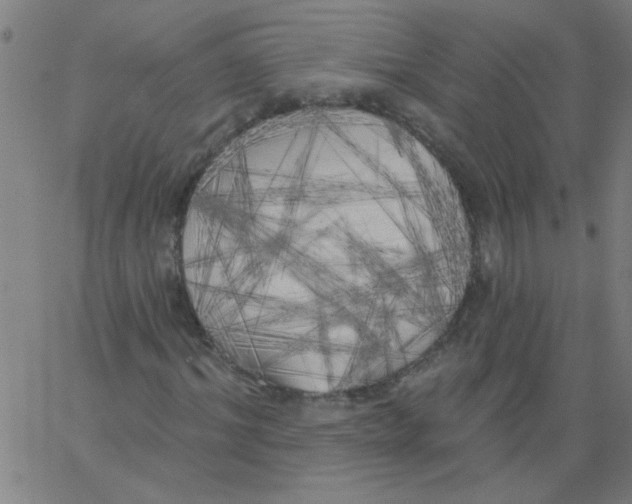 X0000067390964200604281838