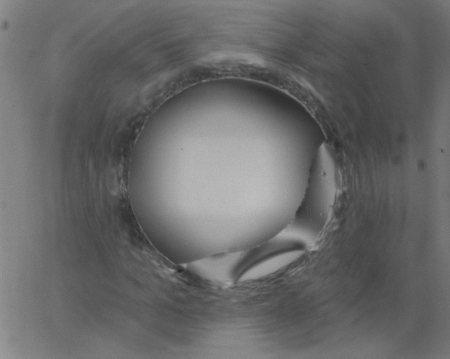 X0000067390965200604281838