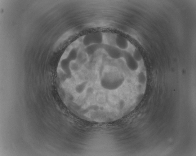 X0000067390967200604281838