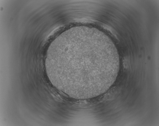 X0000067390968200604281838