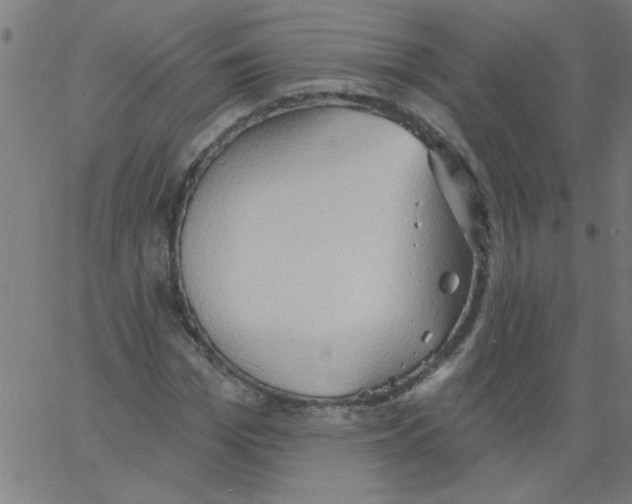 X0000067390969200604281838