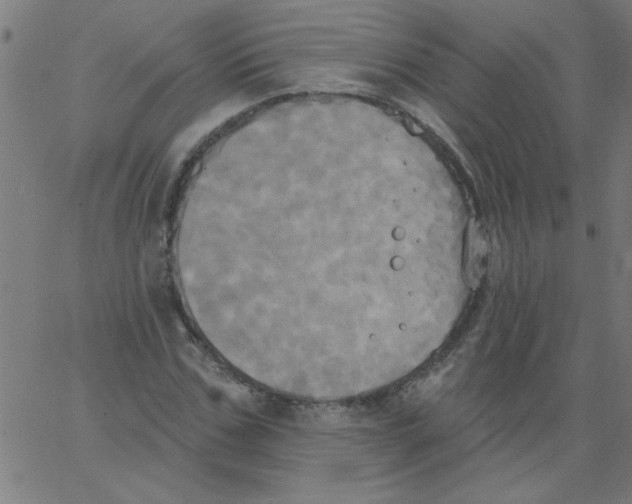 X0000067390971200604281838