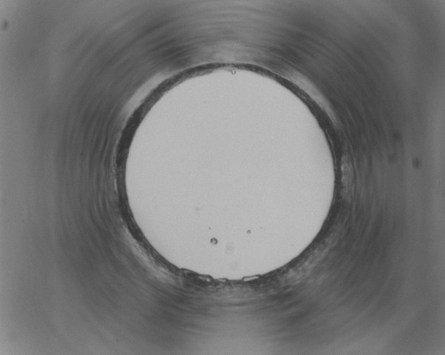 X0000067390972200604281838