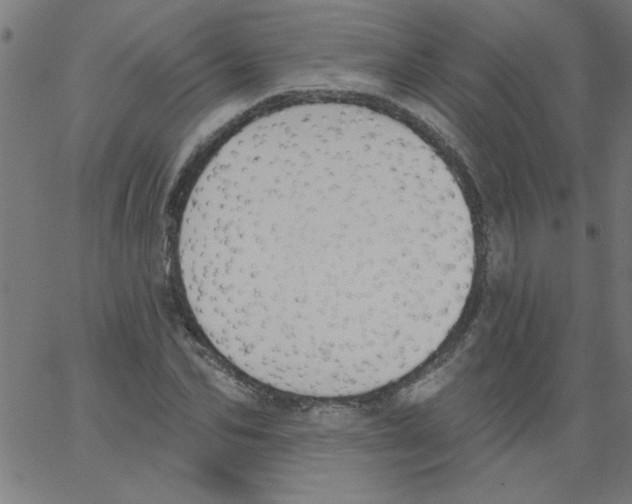 X0000067390974200604281838