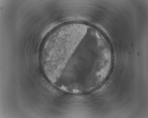 X0000067390975200604281838