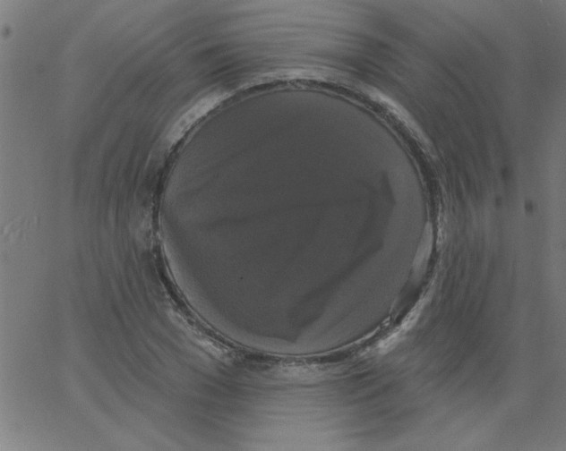 X0000067390977200604281838